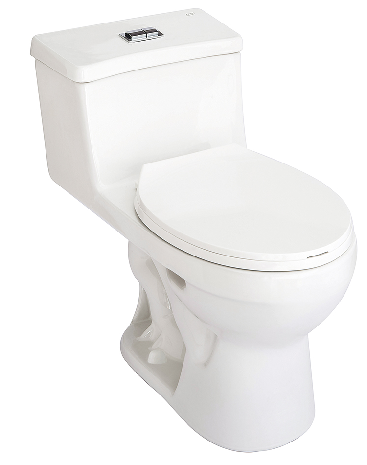 Inodoro Blanco